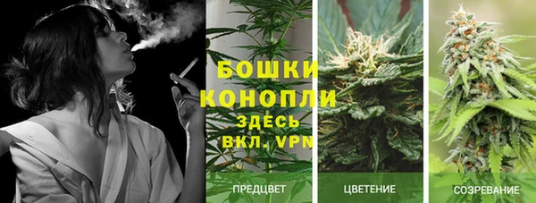 дурь Алексеевка