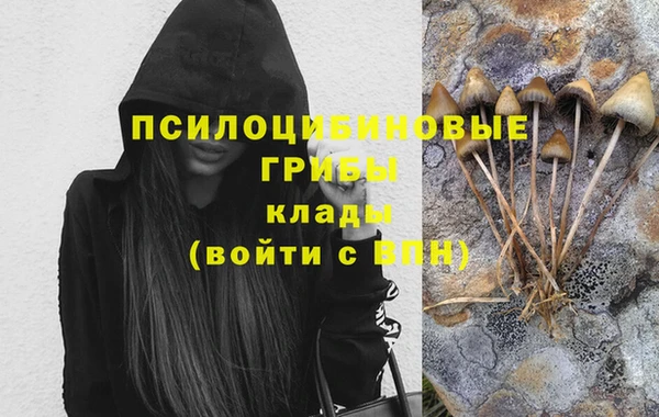 амф Осинники