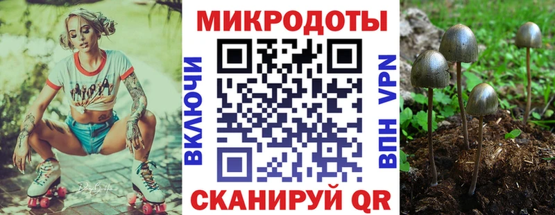 цены наркотик Беломорск blacksprut как войти Галлюциногенные грибы мухоморы